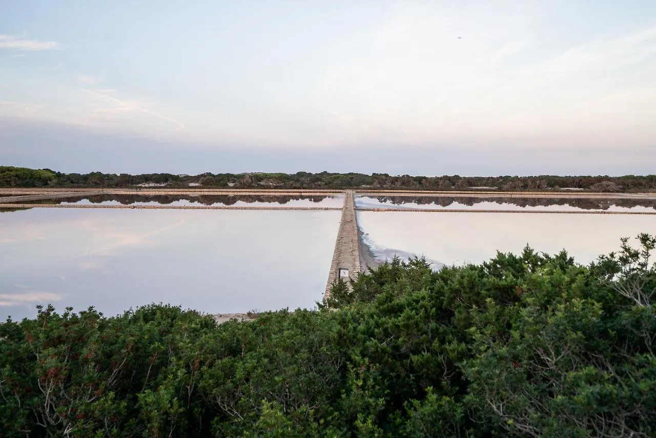 Apartamento Cas Saliners - Ses Illetes La Savina   La Savina (Formentera)